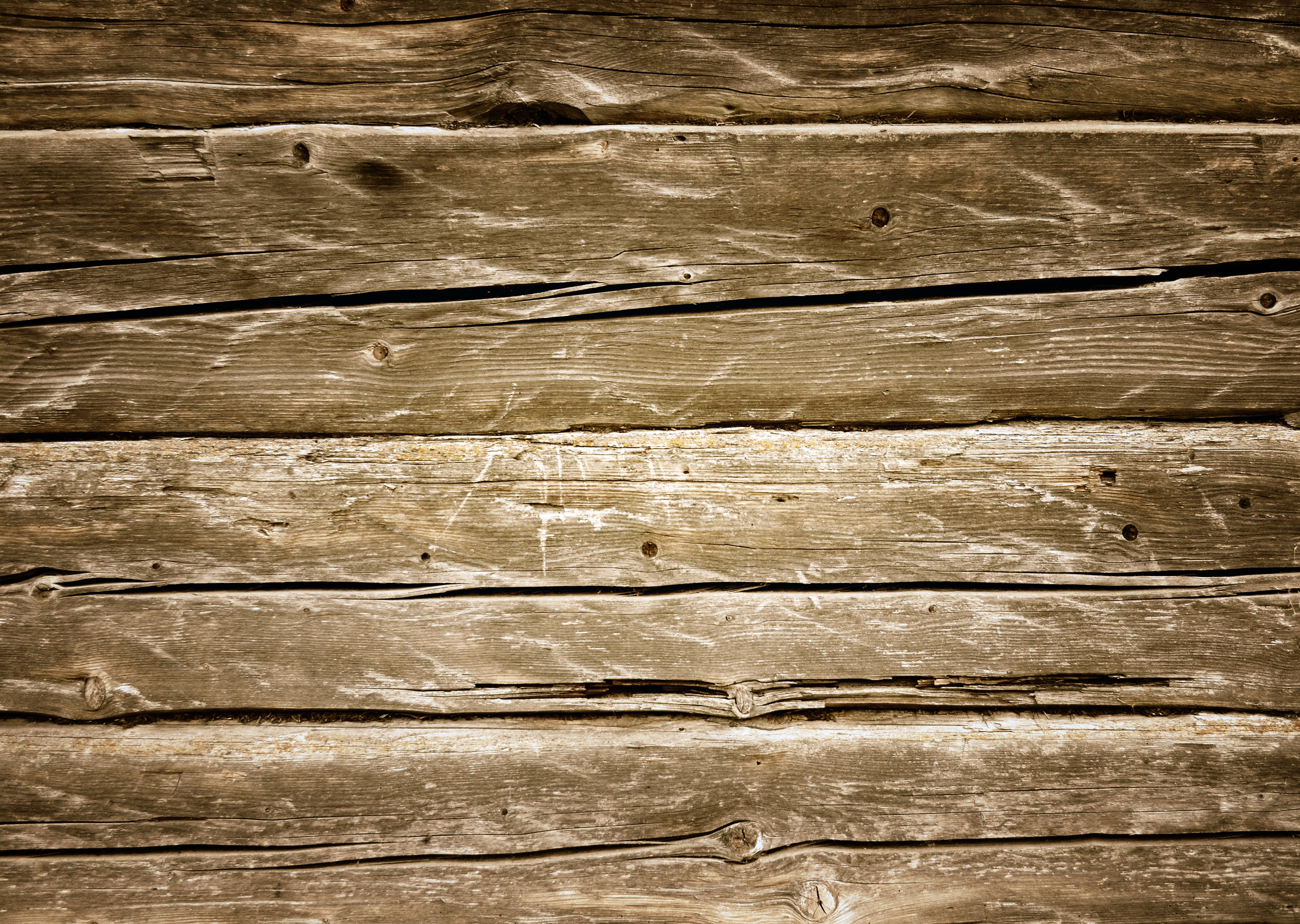 Holz 1